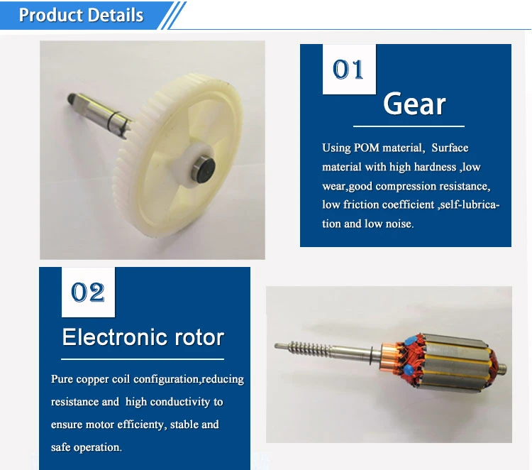 12V DC Motor Customized Worm Gear Reducers and Gearmotors