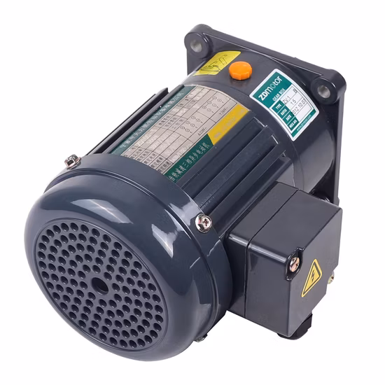 Motoriduttore medio piccolo Gpg per macchine per pacchi della linea di smistamento logistico automatico CH CV 18 22 28 32 40 50mm albero di uscita 100W 200W 400W 750W 1500W 2200W 3700W